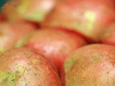 Картофельный отвар полезнее самого картофеля - Наука и здоровье