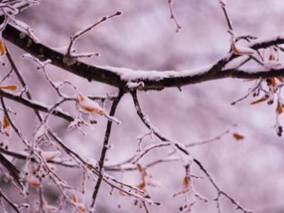 В Висагинас придут крещенские морозы  - В Висагинасе