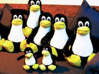 Медведеву предлагают создать «российский Linux» - IT новости