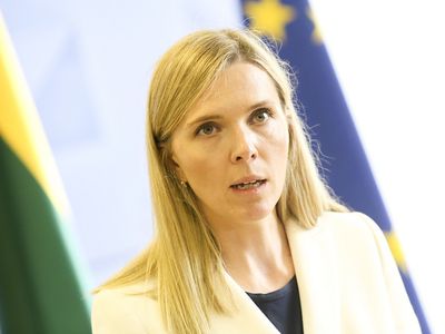 А. Билотайте о строящемся на границе с Беларусью заборе: не хочу, что это стало проектом "золотого забора" - Литва и страны Балтии