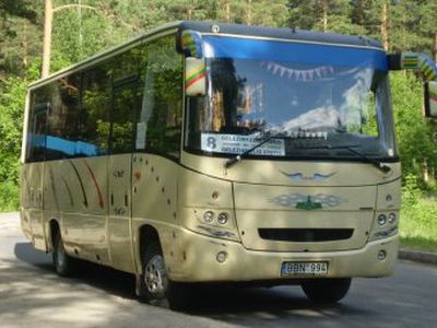 1 ноября будут курсировать автобусы на кладбище - В Висагинасе