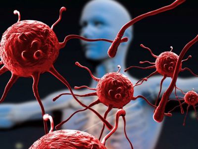 Врачи готовятся к мировой эпидемии «заболевания Х» - Наука и здоровье