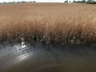 Во всей Литве планируется объявить экстремальную ситуацию в связи с вызванными ливнями убытками - Литва и страны Балтии