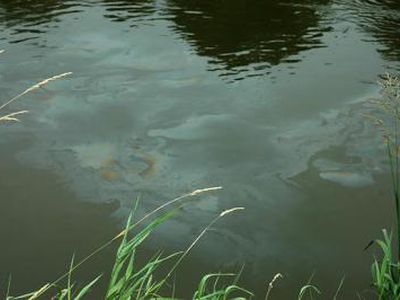 Nemune žemiau Jurbarko pastebėta didžiulė teršalų dėmė - Lietuva ir Baltijos šalys