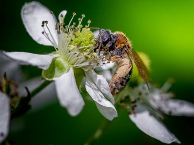 В выходные в Литве тепло, на следующей неделе - лето - Литва и страны Балтии
