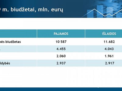 Сейм утвердил госбюджет на 2019 год - Литва и страны Балтии