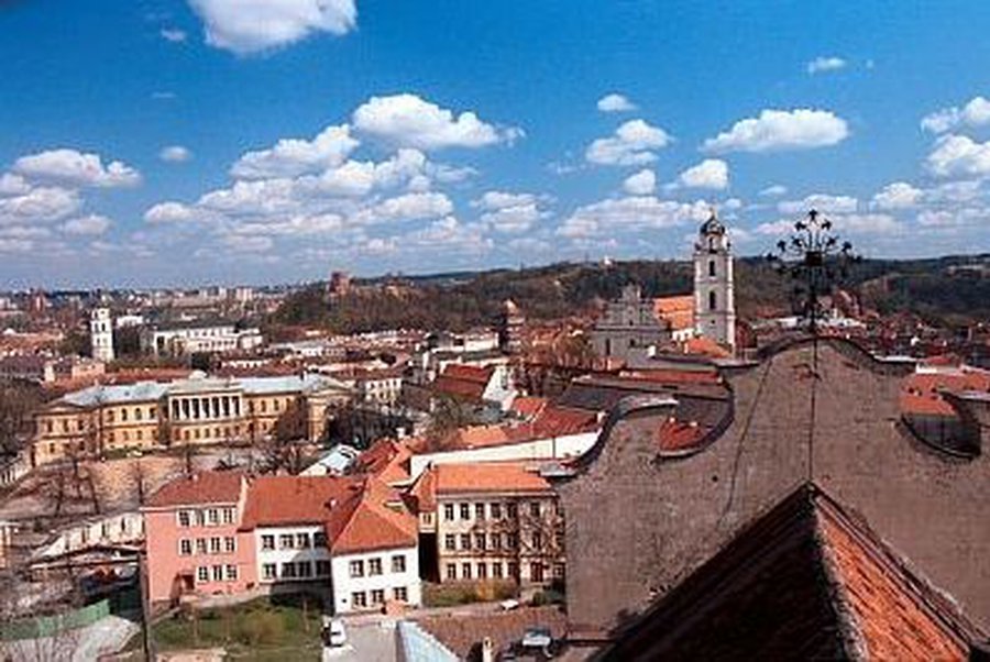 В Литве будут «лечить» лекарства. От дороговизны - Литва и страны Балтии