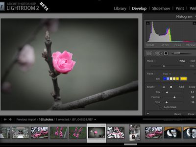 Фотопрограмма Lightroom выйдет на планшетах - IT новости