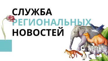 Реконструкция зоологического сада в Каунасе на стадии финиша и другие новости