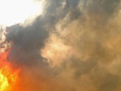 
DFDS Seaways: Пожар на литовском пароме — не теракт

 - Литва и страны Балтии