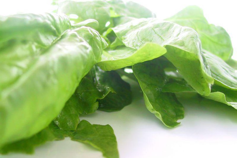 5 продуктов от усталости - Наука и здоровье