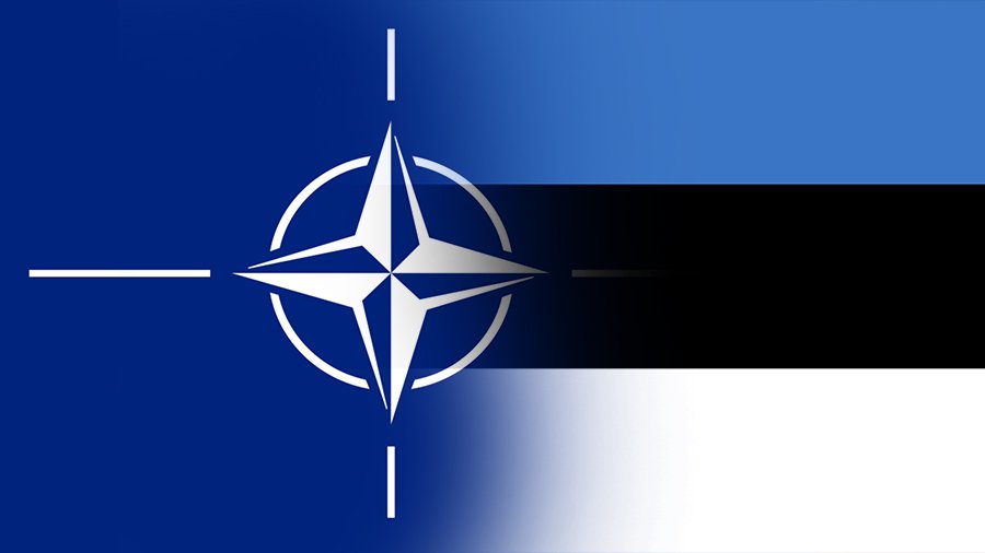 НАТО создаст кибер-полигон в Эстонии - Литва и страны Балтии
