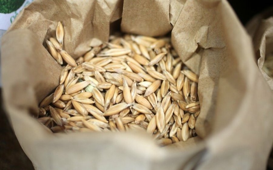 В Израиль доставили кошерную пшеницу из Литвы - Литва и страны Балтии