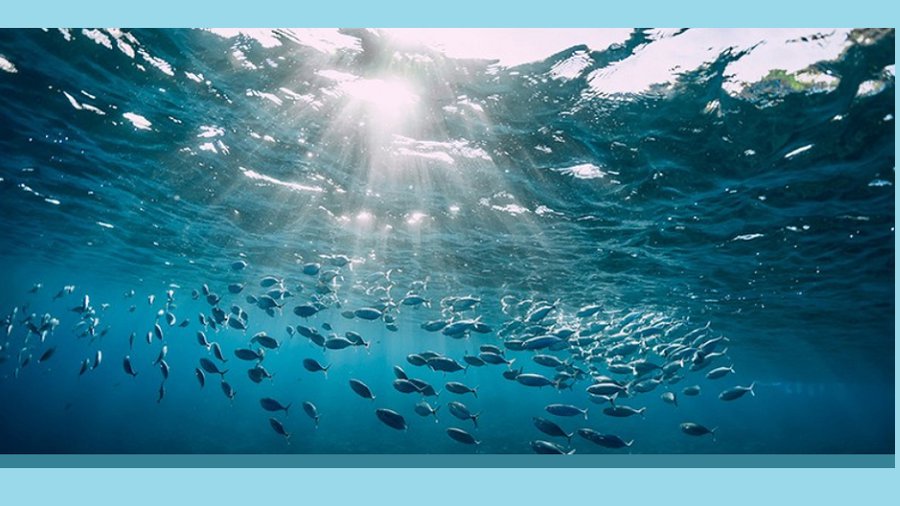 Подписан договор о реализации стратегии рыболовства - В Висагинасе