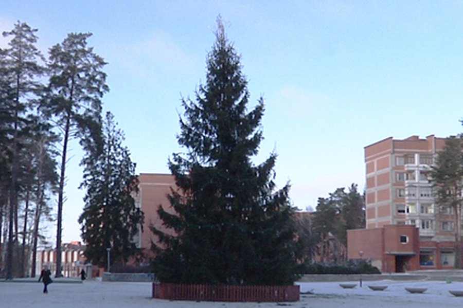 Елочка, зажгись!                                                 - В Висагинасе