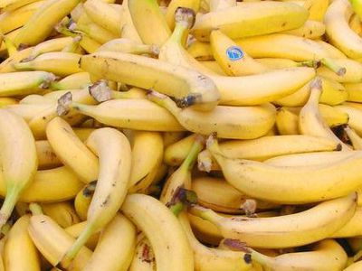 Болельщики «Боруссии» забросали штрафную «Баварии» бананами - Культурные и спортивные мероприятия