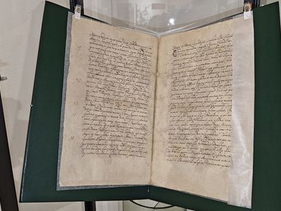 Висагинасу 500! История имени, уходящая в Средневековье (видео) - В Висагинасе