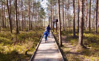 В Висагинасе стартовал проект по развитию природных маршрутов и туристической инфраструктуры - В Висагинасе