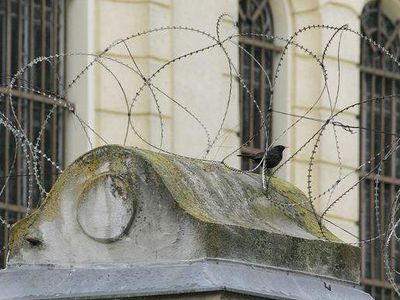 За смертельно избитого сына отсудили у Литвы более 100 000 литов                                                                 - Происшествия и криминал