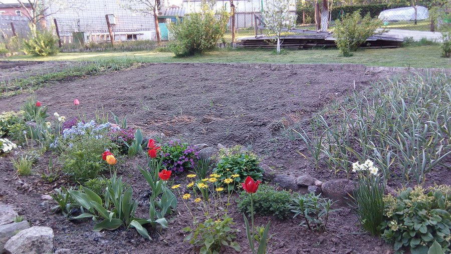 С/о «Pavasaris». Борьба за кресло председателя уводит в юридические дебри - В Висагинасе