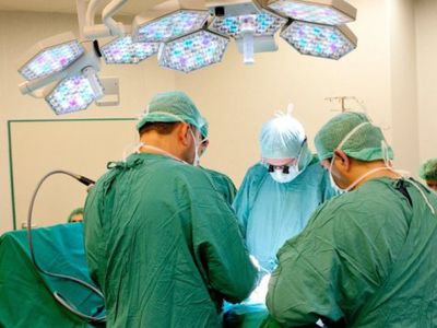 Ожидается, что в Литву будут ездить лечиться россияне - Наука и здоровье