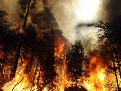 Dėl vykdomų akcijų ir saugus elgesys gamtoje - Visagine