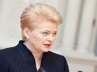 Глава Литвы попросила денег на избирательную кампанию - Литва и страны Балтии
