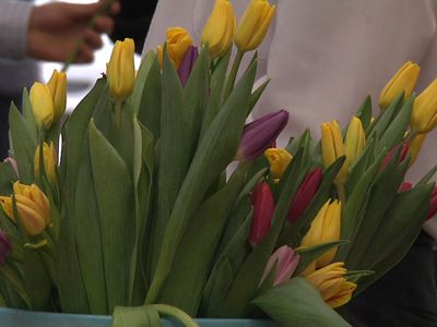 В ожидании первого весеннего праздника                                 - Реклама