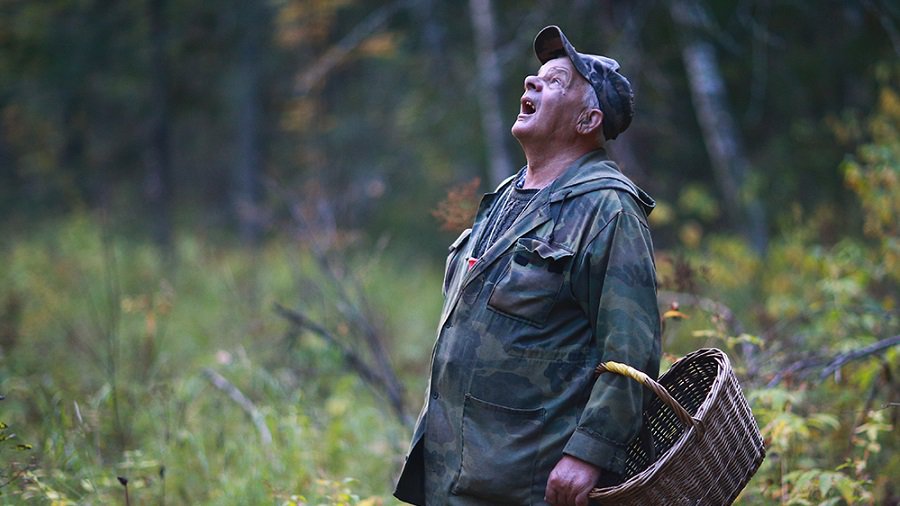 Памятка для любителей лесных даров - В Висагинасе