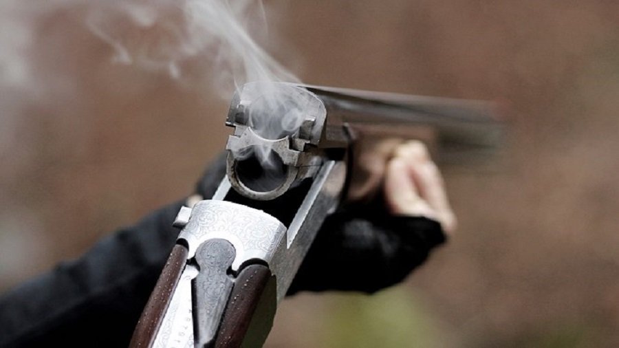 Австриец на фургоне расстрелял соседей и скрылся в лесу - Происшествия и криминал