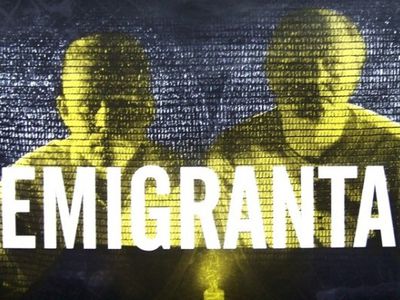 В Голландии началась «охота на гастарбайтеров»                                 - В Мире