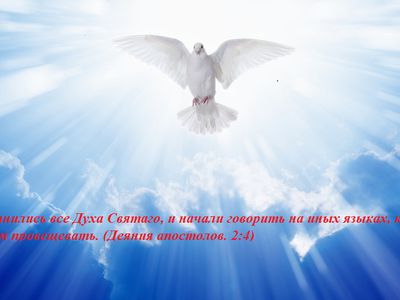 8 июня - День Святого Духа. Расписание богослужений с 8 по 14 июня - Мир православия