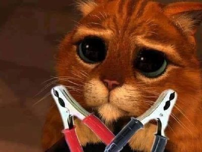 Советы автомобилистам от специалистов "VISKAS AUTOMOBILIUI" - Реклама