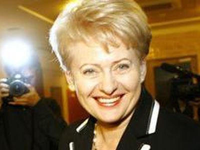 Новый президент Литвы: Политические метания в правительстве вызывают сомнения в их способности продолжить реформы - Литва и страны Балтии