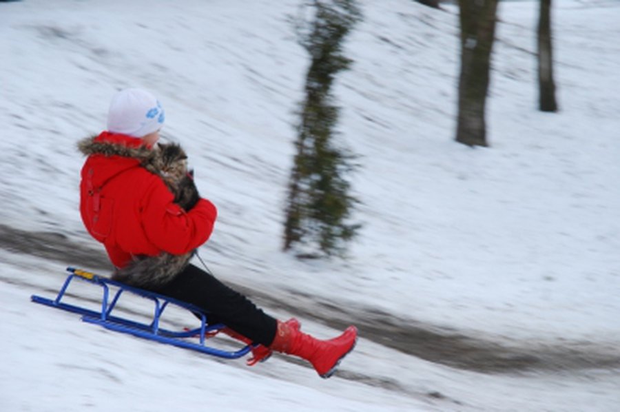 «Маугли» пугает жителей, дети нашли применение  ангару «Ūkininkų turgus», а также другие происшествия прошедшей недели                                 - Происшествия и криминал
