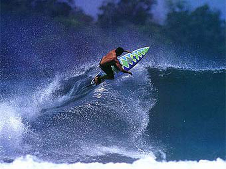 Британских серферов будут судить за кражу волн - Хобби, отдых и развлечения