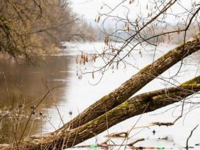 Погода: температура поднимется до 20 градусов - Литва и страны Балтии