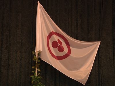 В Висагинасе отметили Международный день культуры - В Висагинасе