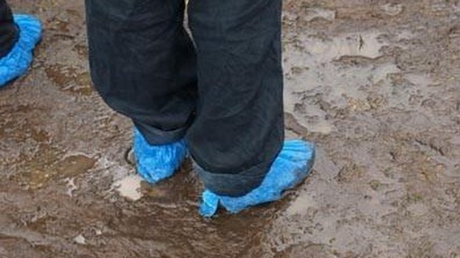 Студентов загнали в грязь - Литва и страны Балтии