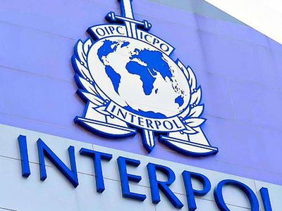 Литва может поднять вопрос о выходе из Интерпола в случае избрания россиянина его главой - В Мире