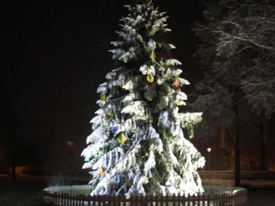 Kalėdų eglės įžiebimo šventė - Visagine