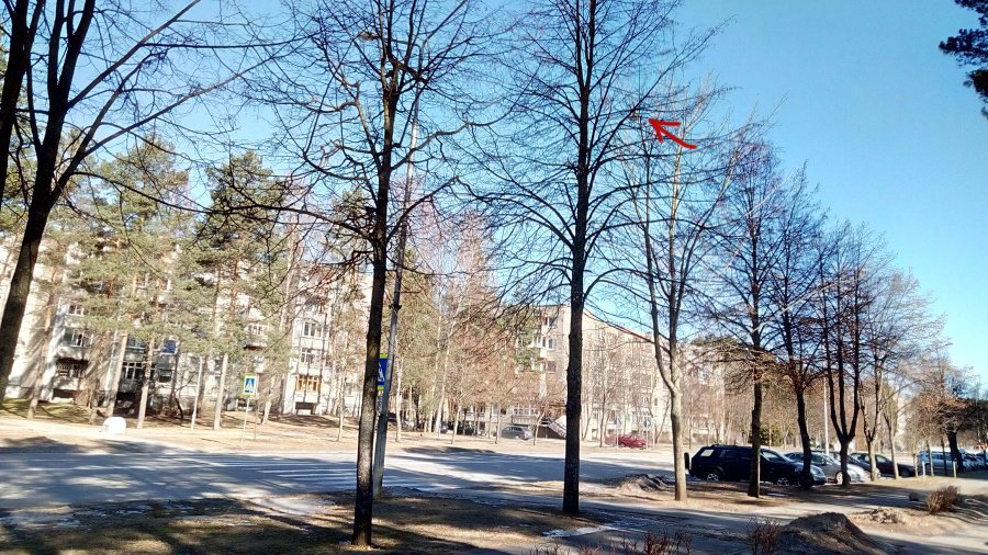 Горячая линия ТТС. По ул. Статибининку ходить небезопасно - В Висагинасе