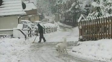 В Польше из-за снежного бурана без света остались 40 тысяч домов