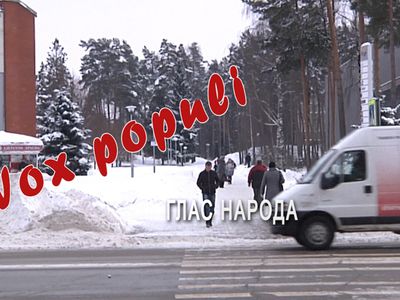 Глас народа о предстоящих выборах - В Висагинасе