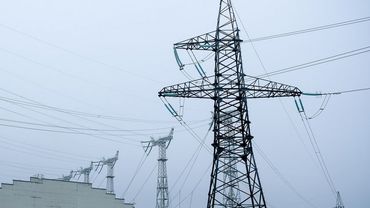 Около 12% потребляемой Литвой электроэнергии произведено на БелАЭС - парламентский комитет