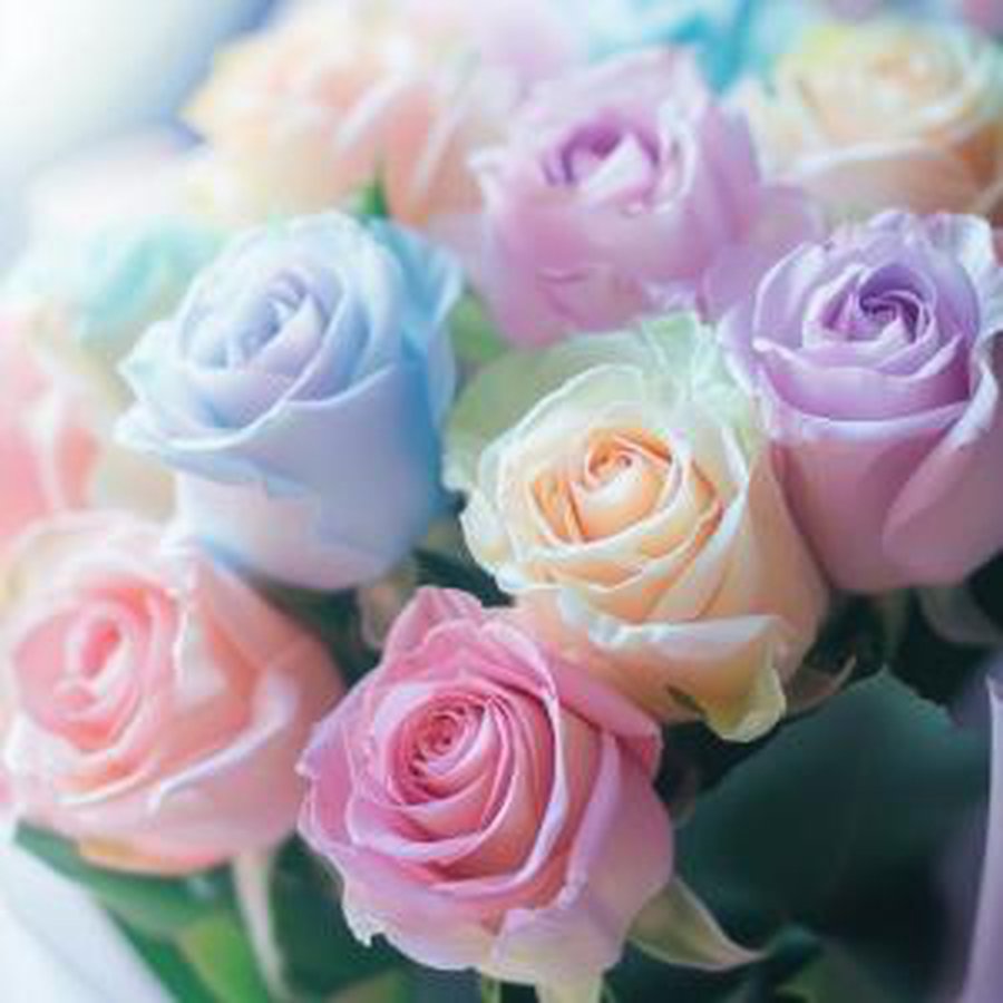 Sveikiname Tarptautinės moterų solidarumo dienos proga! - Sveikinimai