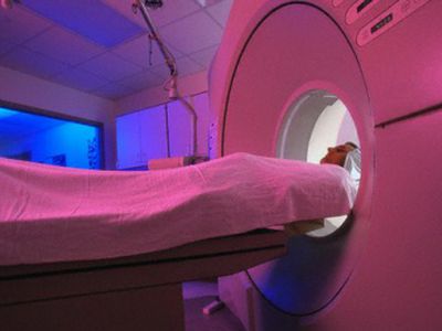 Сны можно расшифровывать по активности мозга - Наука и здоровье