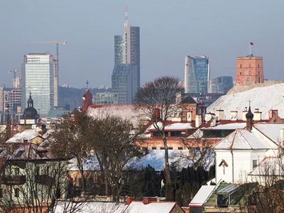 В Вильнюсе объявлена эпидемия гриппа - Литва и страны Балтии