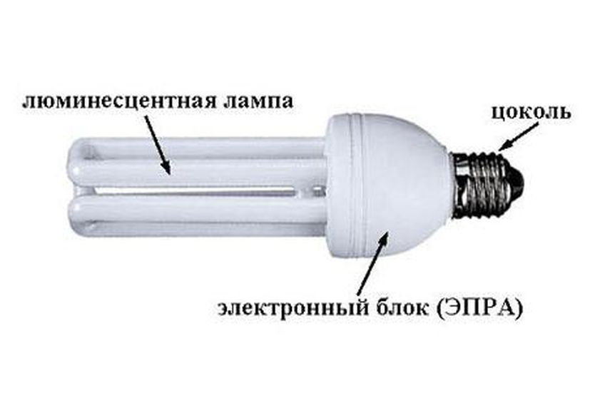 Энергосберегающие лампы: в чем их отличия и как их выбирать
