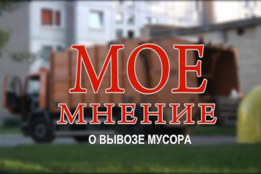 Светлана Бабуева:  Мое мнение о вывозе мусора                                                                                                          - В Висагинасе